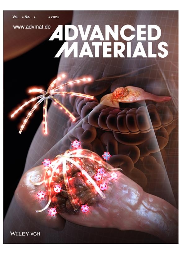 췌장만 감싸 암세포 정밀 공격…‘초소형 3차원 LED 장치’ 개발