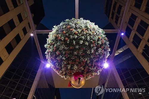 내셔널 겨우살이 [EPA=연합뉴스]