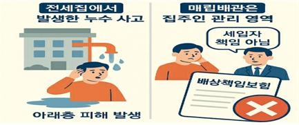 [금융감독원 제공]