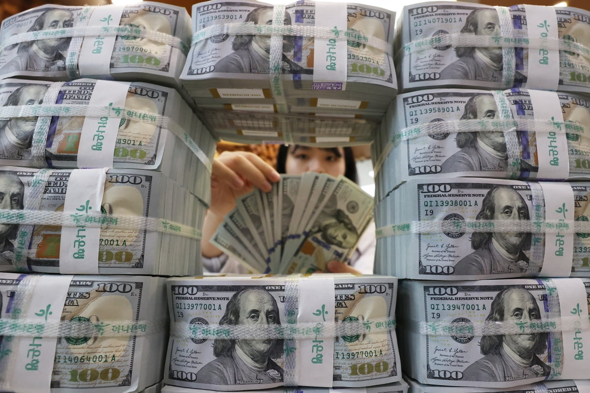 원·달러 환율 1430원대로 하락…당국 개입·환헤지 영향 | 디지털타임스