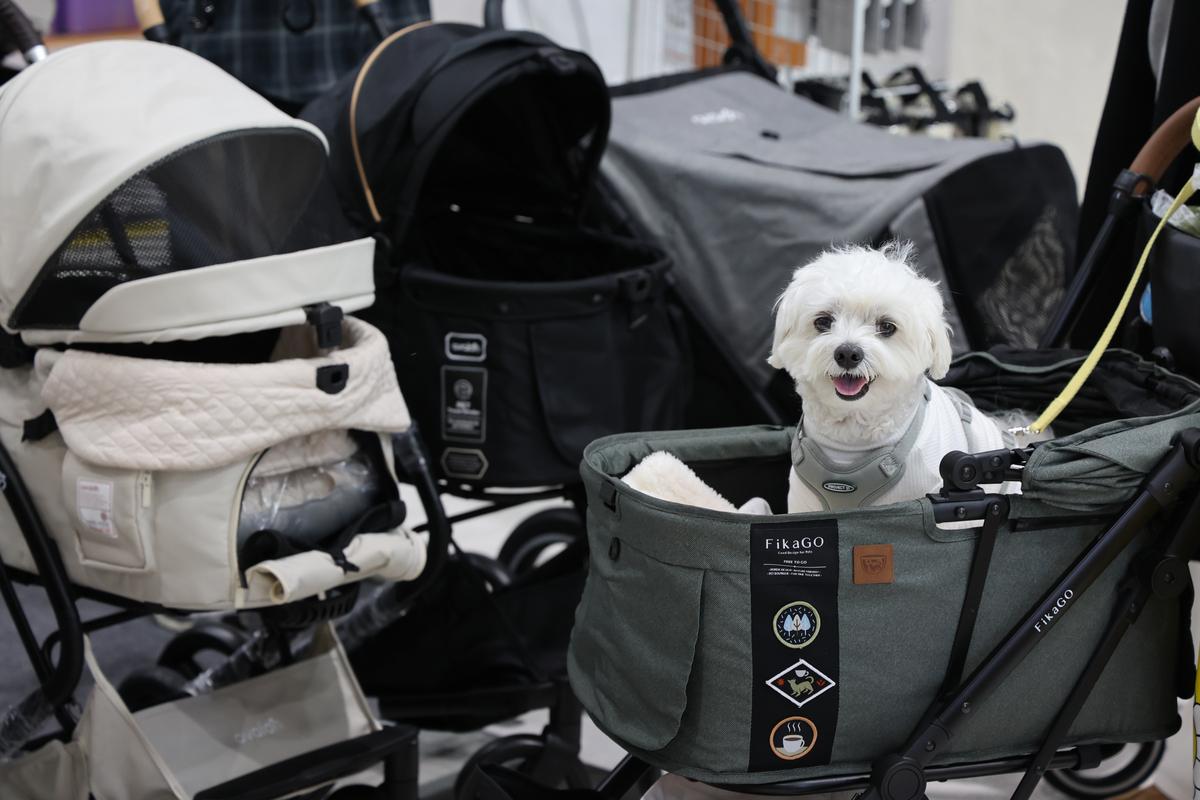 반려동물 '표준수가제' 추진...'숙원사업' 펫보험 가입률 올라갈까 - 뉴스 썸네일 이미지