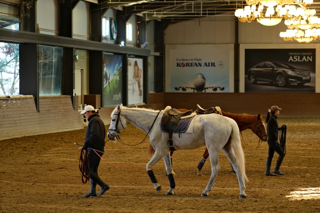 에비뉴엘 큐레이션 프리이빗 클래스에 연계된 ‘스티븐 승마클럽’. 롯데백화점 제공