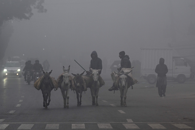 10일(현지시간) 파키스탄 라호르에서 사람들이 당나귀를 타고 이동하고 있다. 연합뉴스.
