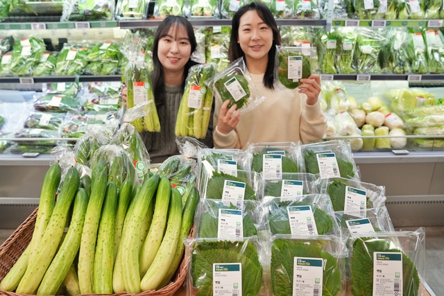 서울시 송파구 롯데마트 제타플렉스 잠실점에서 13일 상품기획자들이 스마트팜 채소를 소개하고 있다. [롯데마트 제공]