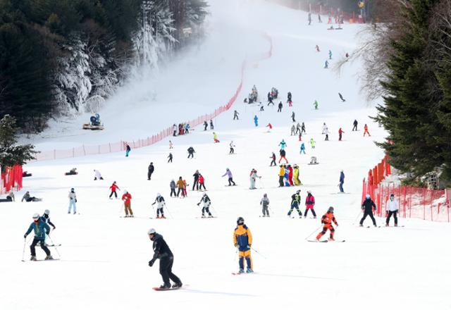 스키캠프서 초등생 여제자 성추행 혐의 40대 교사…“도주 우려” 구속