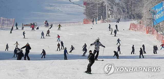 겨울스키장   *사진은 기사와 관련 없습니다. [연합뉴스 자료사진]