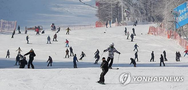 “스키 캠프서 담임교사가 초등생 성추행”…목격자 신고로 경찰 수사