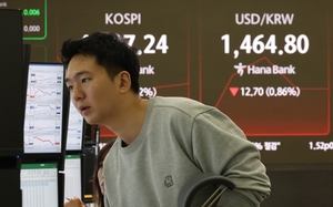 환율 오르자 달러보험 가입 ‘폭증’…"재테크 목적 상품 아닙니다"