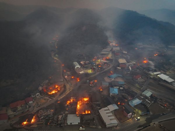 경북 의성군 산불 발생 나흘째인 지난해 3월 25일 의성군 단촌면 하화1리에 강풍에 날아온 산불 불씨로 인한 화재가 발생해 있다. [연합뉴스]