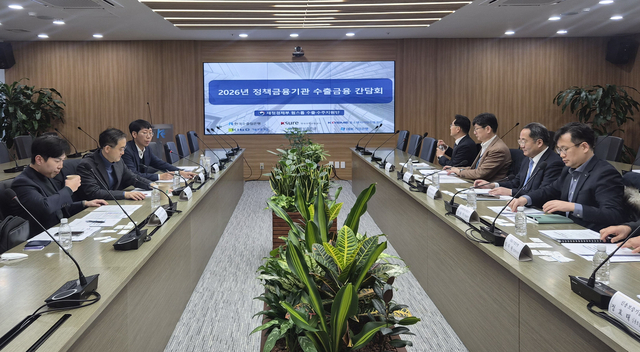 유법민 원스톱 수출 수주지원 부단장이 21일 서울 영등포구 한국수출입은행에서 6개 정책금융기관과 수출금융간담회를 주재하고 있다.[재졍경제부]