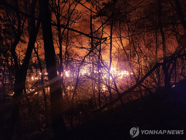 인근 산으로 옮겨붙어 확산하는 모습. 부산소방본부
