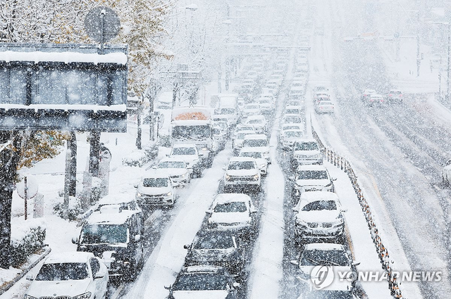 대설  [연합뉴스 자료사진]