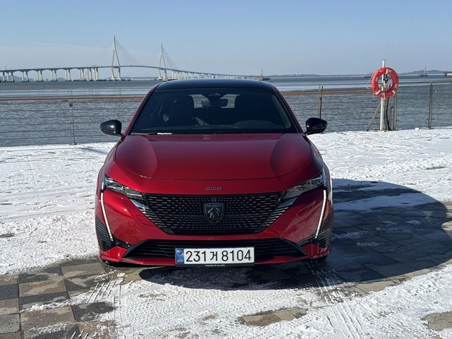 날카롭게 다듬어진 사자의 얼굴이 눈에 띄는 전면부. 임주희 기자
