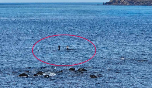 갯바위에 고립된 낚시객  [제주도소방안전본부 제공]