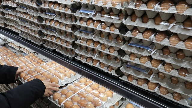 최근 가격 상승한 계란.[연합뉴스]