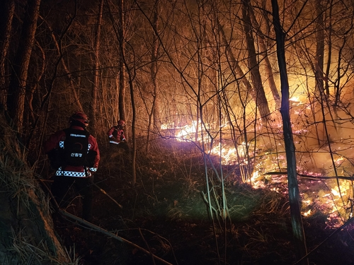 지난 7일 오후 9시 40분께 경북 경주시 문무대왕면 입천리 야산에서 산불이 발생해 산림 당국이 진화작업을 이틀째 벌이고 있다.  [산림청 제공]