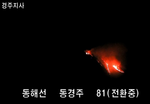 [속보] ‘월성 원전’ 인근 경주 양남·문무대왕면 산불…소방 ‘대응 1단계’ 발령