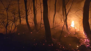 부산 금정봉 산불 9시간 만에 불길 잡혀…헬기 6대 투입 예정