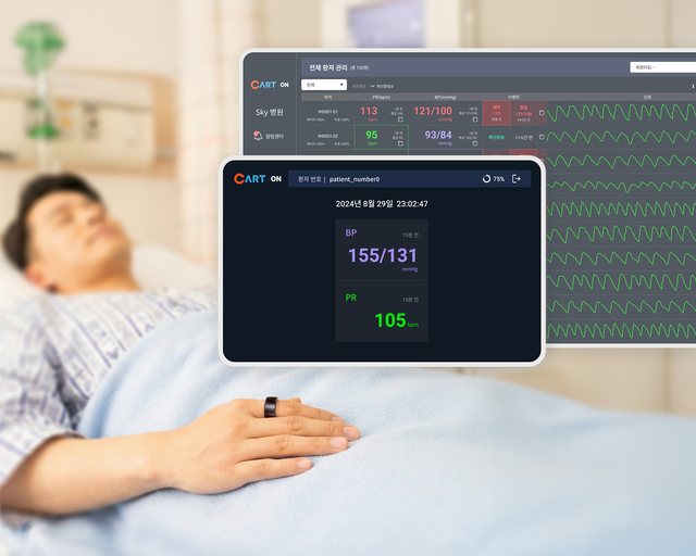 카트온 솔루션 구동 화면 예시. 스카이랩스 제공