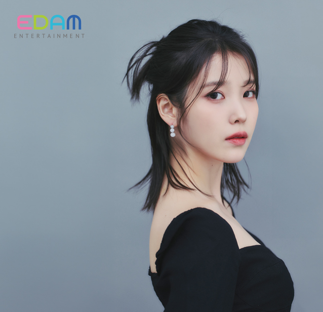 아이유 간첩설 유포자 벌금 500만원형…괴담·성희롱 반복 악플러도 징역형