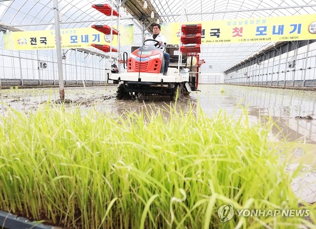 10일 경기도 이천시 호법면 안평리 비닐하우스 논에서 열린 ‘임금님표 이천 쌀 첫 모내기 행사’에서 관계자가 이앙기로 모를 심고 있다. [연합뉴스]