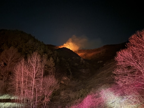 금산 진산면 산불 [산림청 제공]