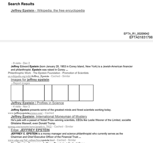 2010년 미성년자 성범죄자 제프리 엡스타인의 측근이 필리핀 업체를 써서 구글 검색 결과에서 부정적인 내용을 아래로 밀어낸 스크린샷. 스트레이츠타임스 홈페이지 캡처. 연합뉴스