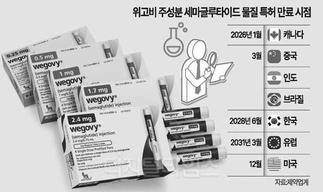 위고비 주성분 세마글루타이드 물질 특허 만료 시점