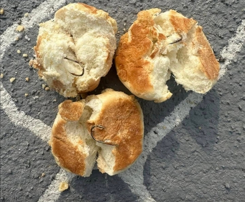 낚싯바늘 박힌 빵 [소셜미디어(SNS) 게시글 갈무리]