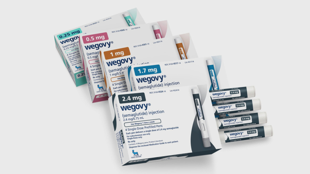 ‘위고비 천하’ 저물었다… 노보 노디스크 올해 ‘역성장’ 전망