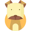 개띠. 자세히 알아보기