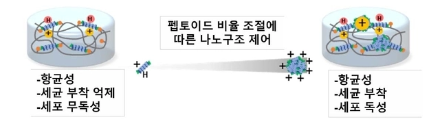 펩토이드 비율 조절에 따른 나노구조 및 기능 변화 모식도. GIST 제공.
