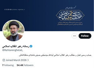 “테러 연관자가 머스크 고객?”…하메네이 ‘X 파란딱지’ 美 사회 공분