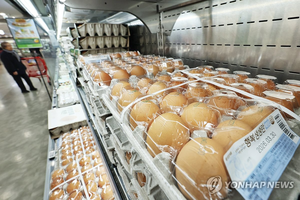 ‘산란계 살처분’ 계란 한판 7000원대 훌쩍…“5월까지 개선안 마련”