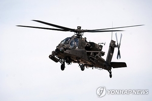 “개미 먹고 버텼다”…적국 영공서 격추된 美조종사들 극한 생존법