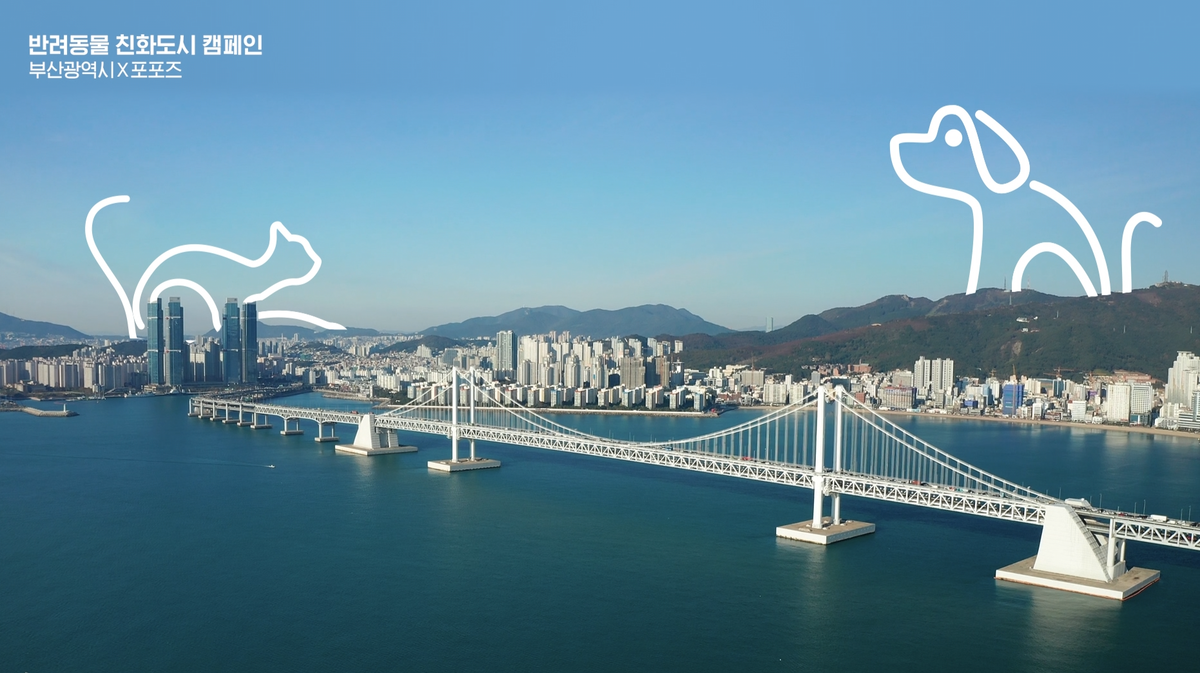 ㈜펫닥, 부산광역시와 '일상의 돌봄' 캠페인 전개... 성숙한 반려 문화... - 뉴스 썸네일 이미지