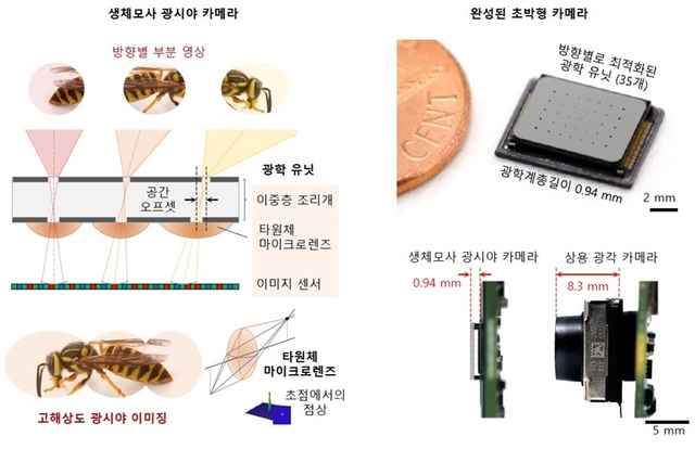 곤충의 겹눈 시각 원리를 모사한 카메라 구조 개념도와 제작된 초박형 카메라 사진. KAIST 제공.
