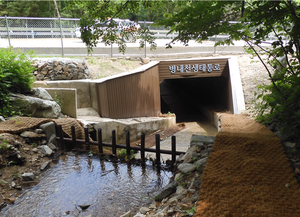 국립공원에 생태통로 설치하니…야생동물 이용 늘고, 로드킬 줄고
