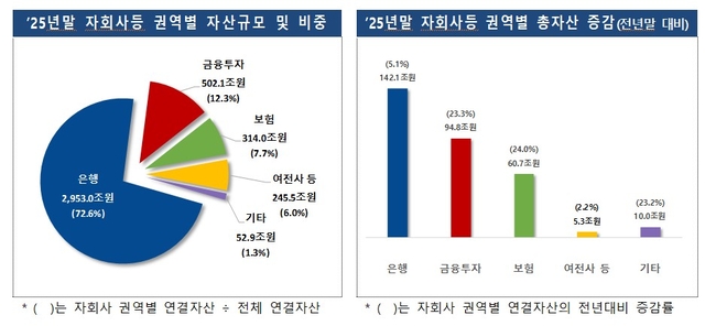 [금융감독원 제공]
