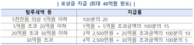 국세청은 부동산 탈세 신고센터 제보 가운데 중요한 자료가 인정되면 탈루 세금 추징 시 최대 40억원의 포상금을 지급한다.  [국세청 제공]
