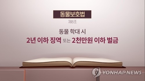 동물보호법 (CG). 연합뉴스