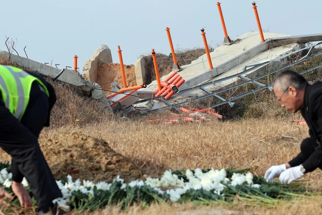 12·29 제주항공 여객기 참사 1주기인 작년 12월 29일 무안국제공항 참사 현장에서 공항 관계자들이 국화꽃을 정리하고 있다. <무안=연합뉴스>