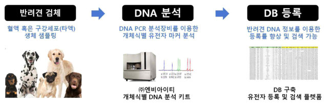 실증특례로 지정된 ‘DTC 유전자 검사 기반 반려견 개체식별 및 동물등록 서비스’ 개념도.