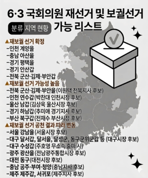 최대 17곳 판 커진 ‘미니 총선’… 한동훈·조국 참전 생존 게임