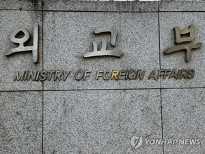 [속보] 정부, 특사 파견한 이란에 7억원규모 인도적 지원 결정