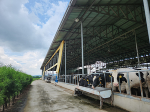 용도별 차등가격제 보완 필요성 제기… 낙농 현장 부담 커져