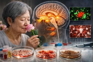 냄새 잃은 순간, 알츠하이머 시계는 이미 ‘재깍재깍’