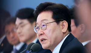 규제개혁 드라이브 건 李대통령, ‘차르’ 앞세운 만기친람(萬機親覽) 리더십 예고