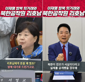 장성민 “겉만 ‘이재명 구하기’ 국정조사, 문조털래유 기획 ‘대북송금 포박장’” 공세