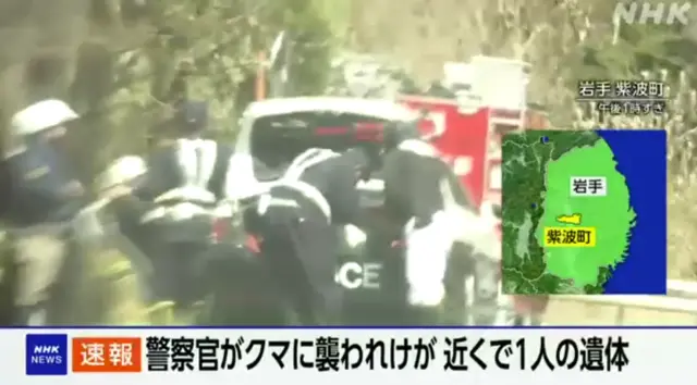 [일본 NHK뉴스 보도 화면 갈무리]